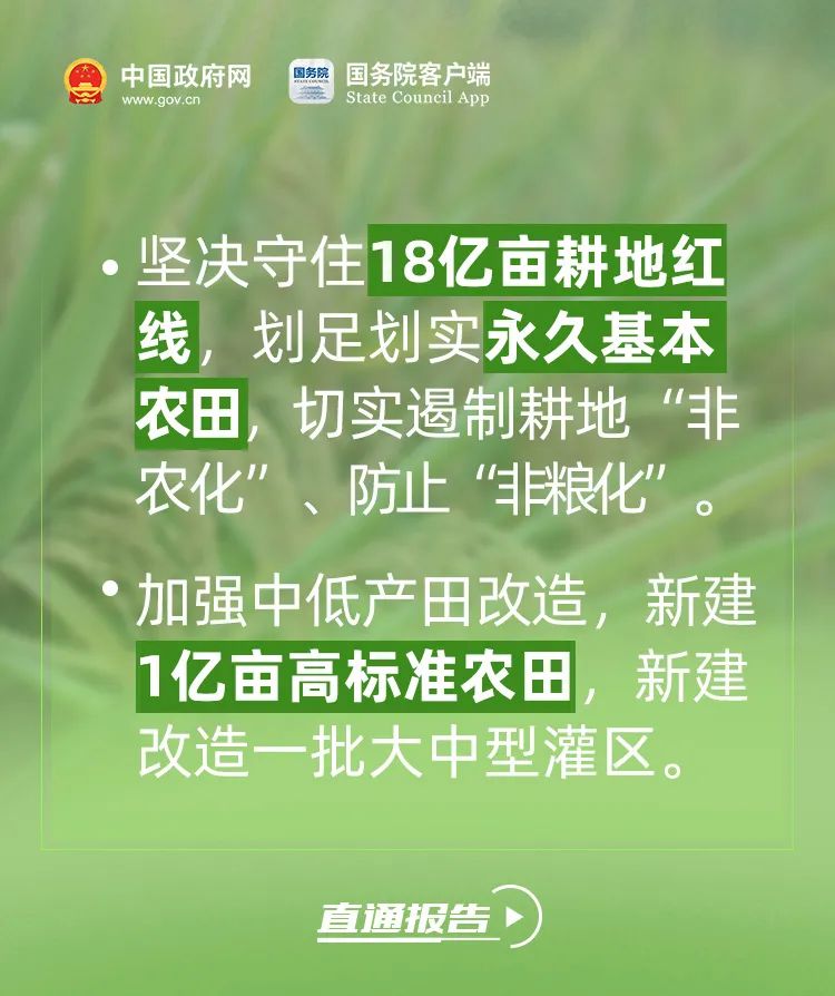 今年，咱们农民朋友有好消息！