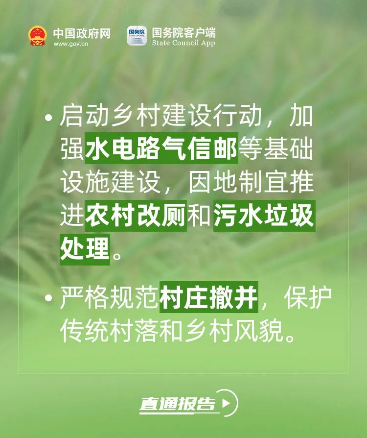 今年，咱们农民朋友有好消息！