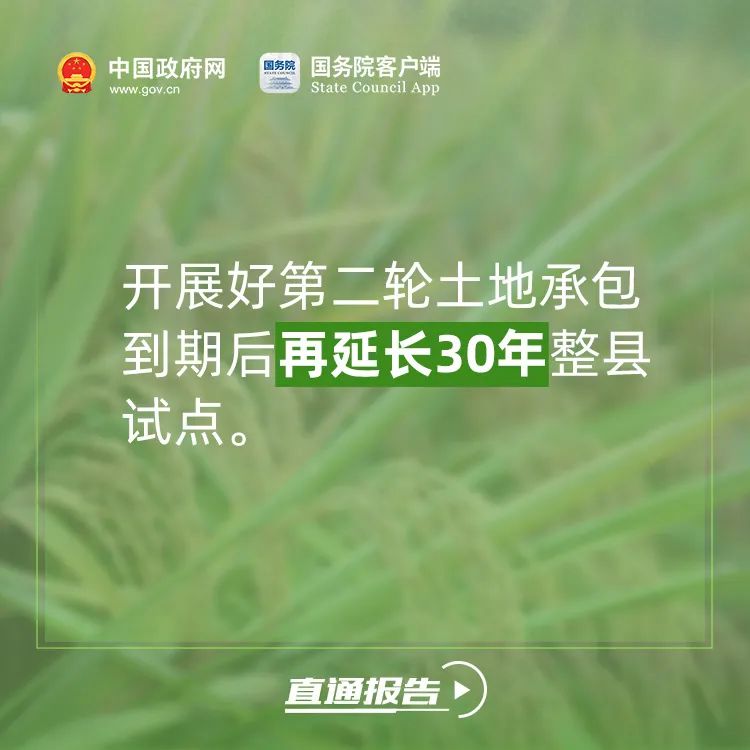 今年，咱们农民朋友有好消息！