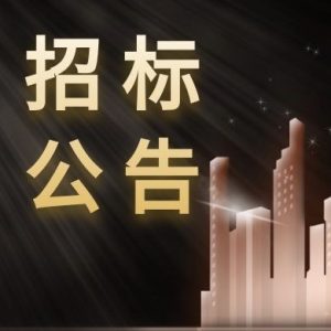 快开游戏开奖辅助设备维保项目招标公告
