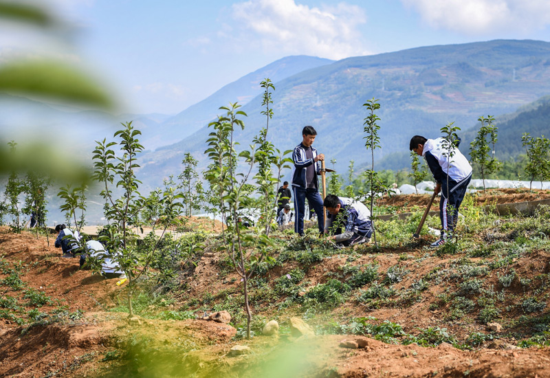 山野间的快乐劳动课