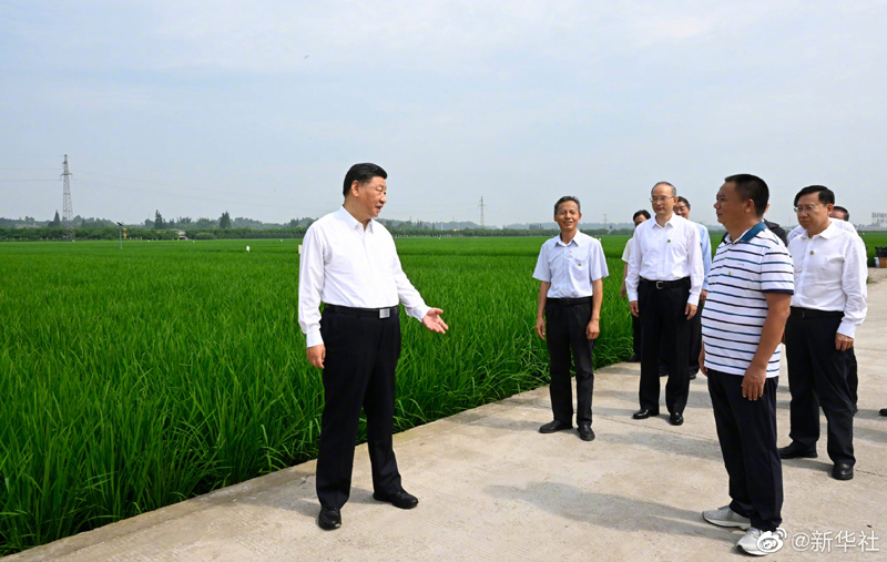 习近平在四川眉山市考察调研