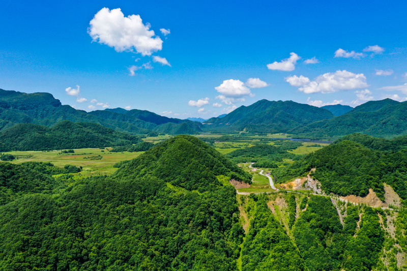 探访重庆五里坡国家级自然保护区